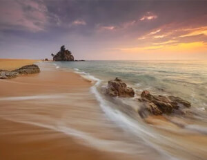 斯图加特球员在社交媒体上发布道歉声明