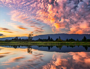 国安客场战平申花，中超积分榜暂居第二