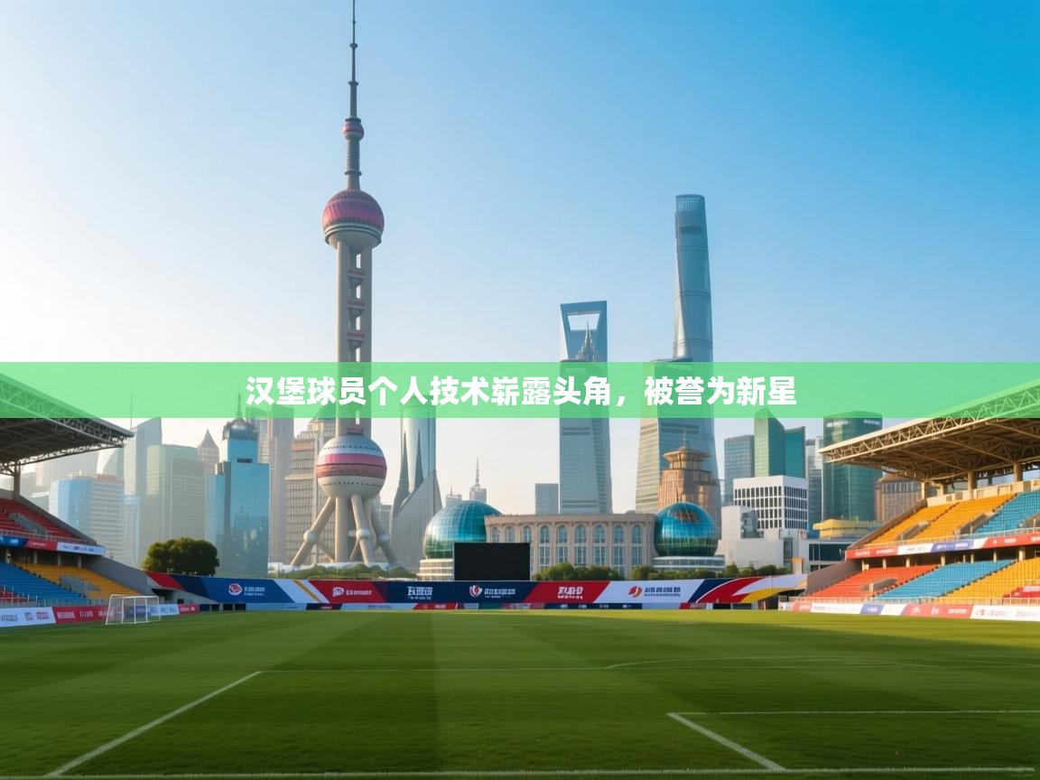 汉堡球员个人技术崭露头角，被誉为新星  第1张