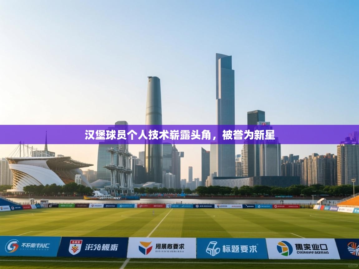 汉堡球员个人技术崭露头角，被誉为新星  第2张