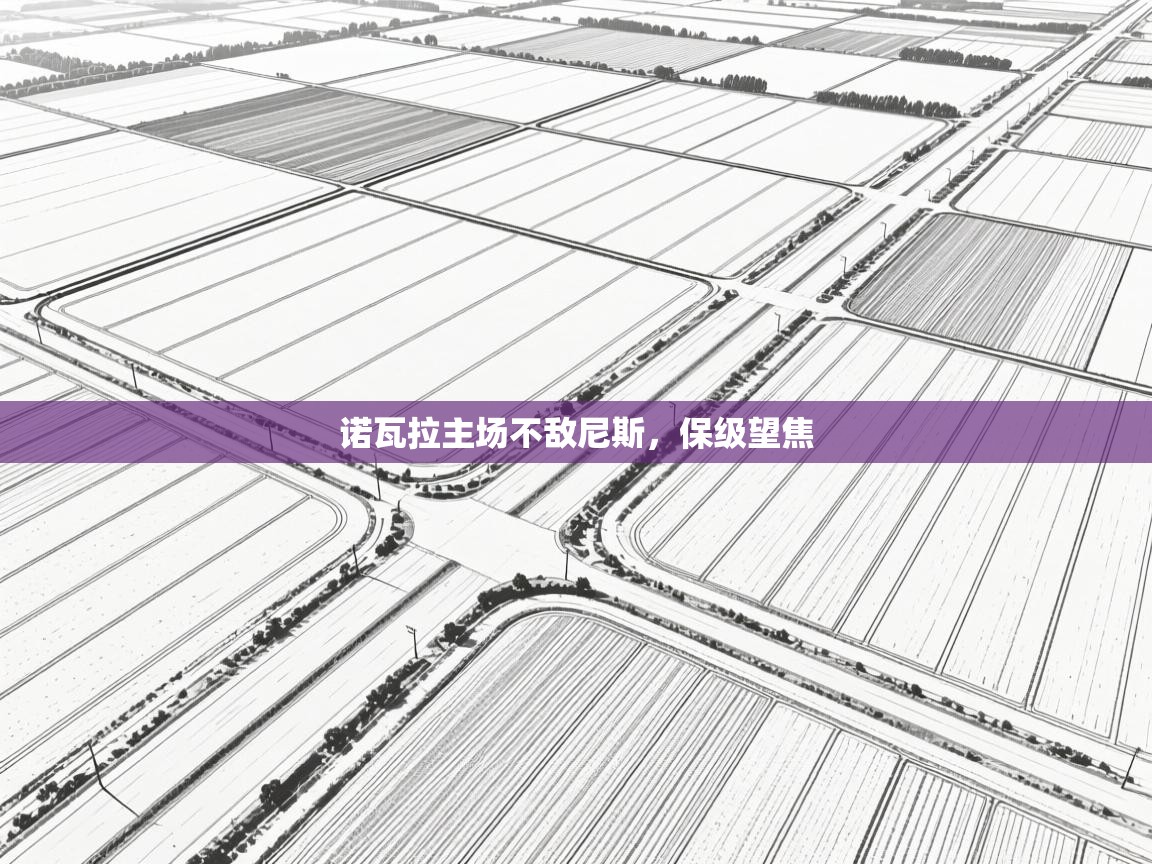 诺瓦拉主场不敌尼斯,保级望焦