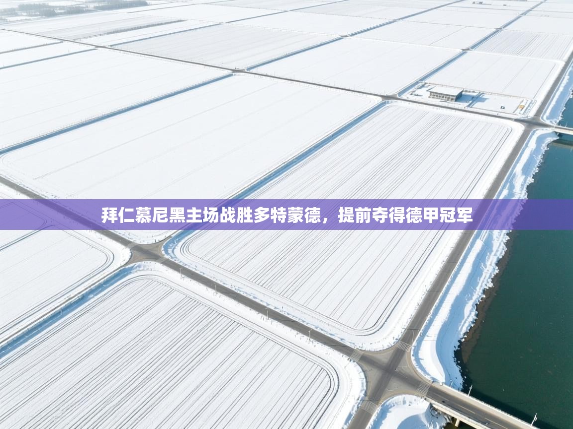 拜仁慕尼黑主场战胜多特蒙德，提前夺得德甲冠军  第1张