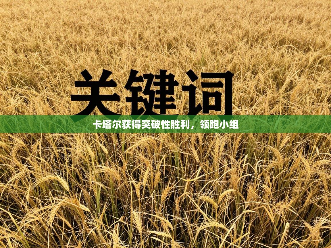 卡塔尔获得突破性胜利,领跑小组 第2张