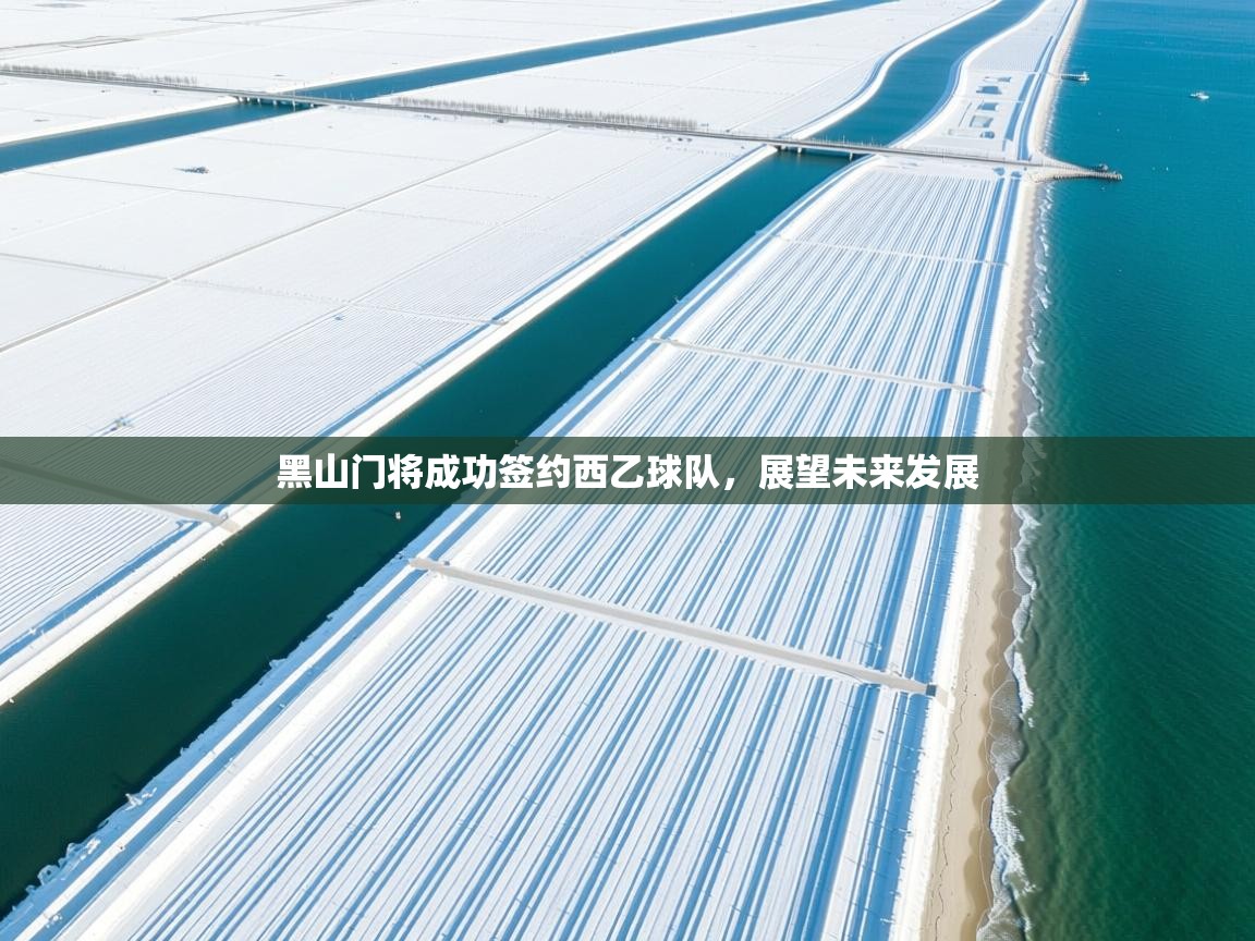 黑山门将成功签约西乙球队，展望未来发展  第1张