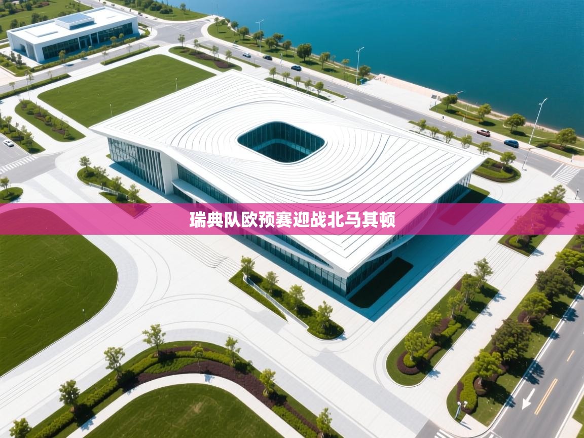 瑞典队欧预赛迎战北马其顿  第2张